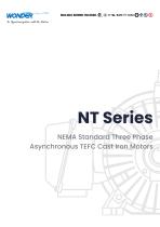 NT Series NEMA Standard Three Phase Asynchronous TEFC Cast Iron Motors