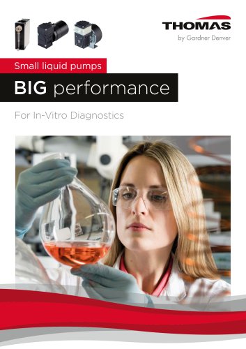 Small liquid pumps BIG performance