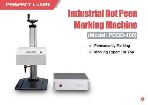 Perfect Laser - Industrial Dot Peen Marking Machine PEQD-100