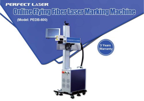 Perfect Laser online flying fiber laser marking machine PEDB-600