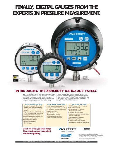 Download Digital Gauge Quick Guide