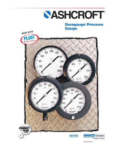 Process Gauges Type 1279 