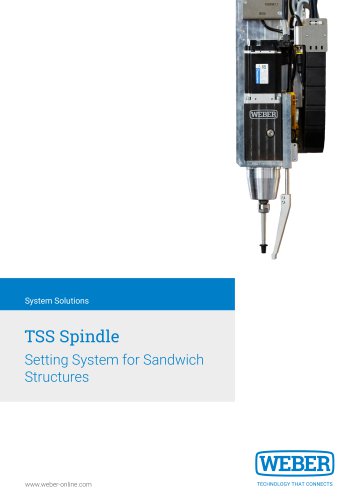 TSS Spindle