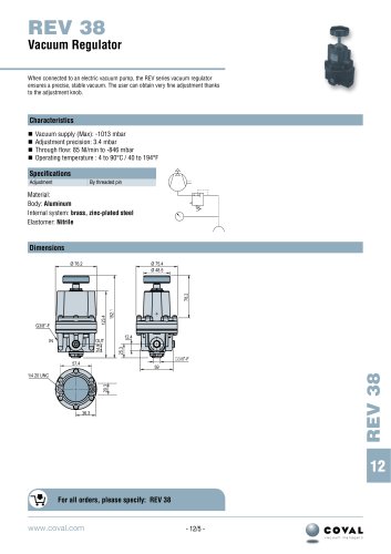 REV 38 Vacuum Regulator