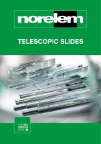 BROCHURE TELESCOPIC SLIDES 2021