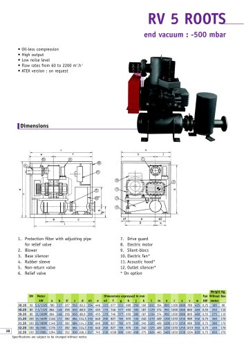 roots vacuum pumps RV5 & RV8