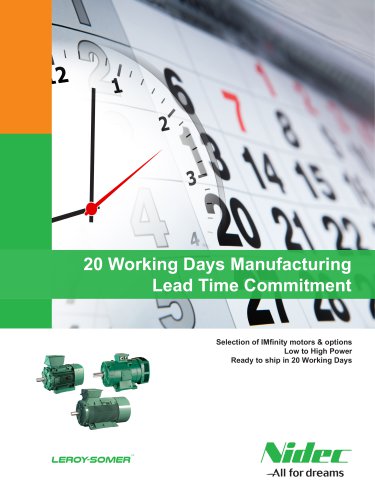 20 Working Days Manufacturing Lead Time Commitment