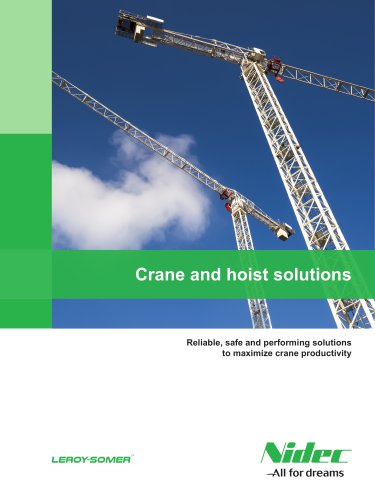 Crane and hoist solutions