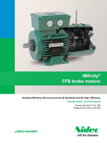 LS FFB - LSES FFB