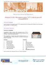 Case Study energyMEDOR for sulfur compounds analysis in natural gas