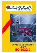 Hydraulic cylinder ISO 6020/2