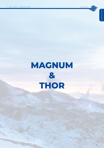 MAGNUM & THOR