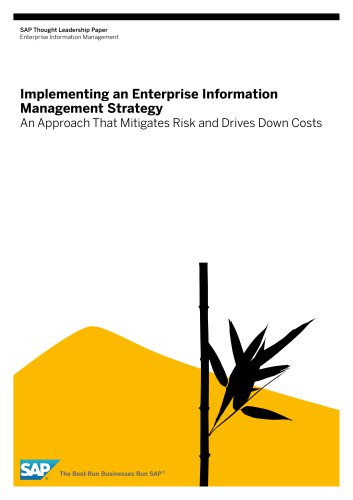 implementing-an-enterprise-information-management-strategy